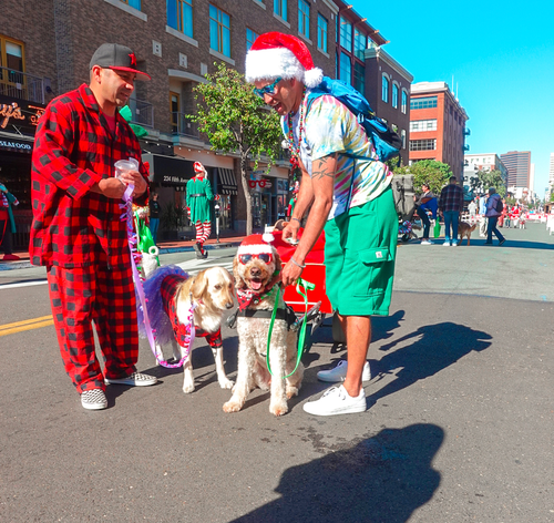 downtown san diego gaslamp quarter holiday pet parade